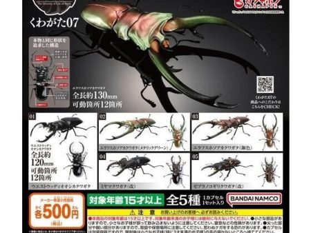 [Bandai Capsule] The Diversity Of Life On Earth Stag Beetle 07 - Random Signal Type Online now