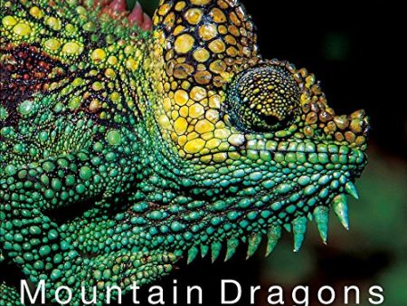 Mountain Dragons in Search of Chameleons in the Highlands of Kenya For Discount