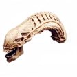 20  Inch Long AvP Alien Xenomorph Resin Skull 1 2 Scale Collectible Statue Predator Trophy Cheap