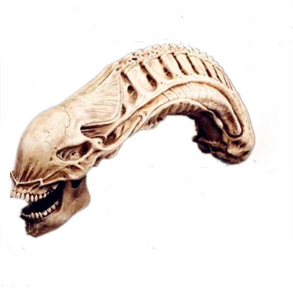 20  Inch Long AvP Alien Xenomorph Resin Skull 1 2 Scale Collectible Statue Predator Trophy Cheap