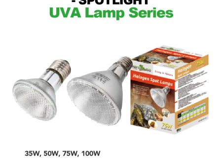 REPTIZOO UVA Halogen Spot Lamps Cheap