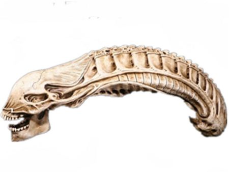 20  Inch Long AvP Alien Xenomorph Resin Skull 1 2 Scale Collectible Statue Predator Trophy Cheap