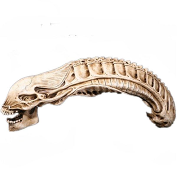 20  Inch Long AvP Alien Xenomorph Resin Skull 1 2 Scale Collectible Statue Predator Trophy Cheap