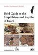 Field Guide to the Amphibians and Reptiles of Israel Supply