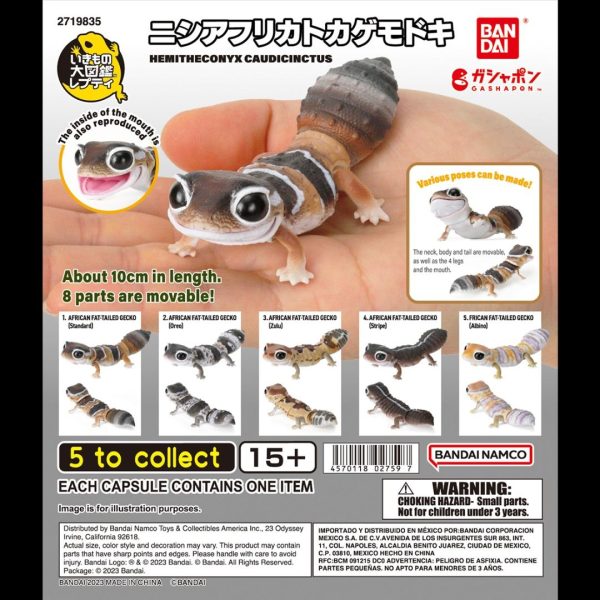 (Bandai Gashapon) The Diversity of Life on Earth Hemitheconyx Caudicinctus Cheap