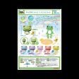 (Gashapon) [Capsule Toy] Macaron-colored little frog Supply