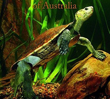 Freshwater Turtles of Australia Discount