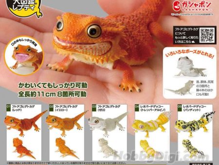 (Gashapon) Bandai - Bearded Dragon & Leopard Gecko Fashion