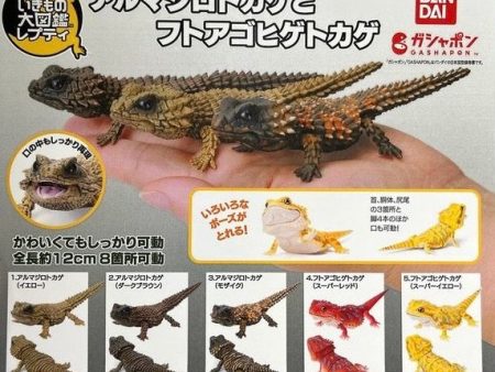 (Bandai Gashapon) Armadillo Lizard Bearded Dragon - Random Signal Type (5 types in total) Online Sale