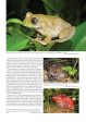 Amphibian Biology, Volume 11, Part 7 – Status and Threats of Afrotropical Amphibians Online