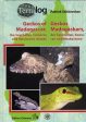 Geckos of Madagascar, the Seychelles, Comoros and Mascarene Islands Online now