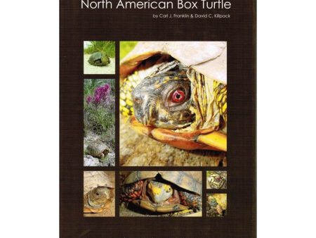 The Complete North American Box Turtle on Sale