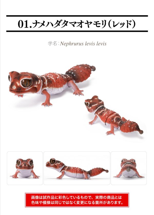 (Bandai Gashapon) The Diversity of Life on Earth Nephrurus Levis Hot on Sale