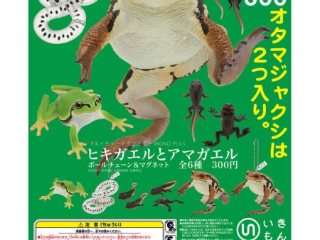 (Gashapon) Buho and rain frog ball chain  (6 types in total) Online now