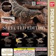 (Gashapon) Bandai  - The Diversity Of Life On Earth Collected Edition Armadillo Lizard, Leopard Gecko, Fat-Tail Gecko on Sale