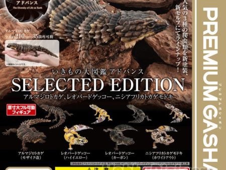 (Gashapon) Bandai  - The Diversity Of Life On Earth Collected Edition Armadillo Lizard, Leopard Gecko, Fat-Tail Gecko on Sale