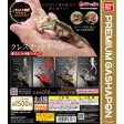 (Gashapon) Bandai  -  Ikimono Encyclopedia Advanced Crested Gecko Capsule Toy Figure Sale