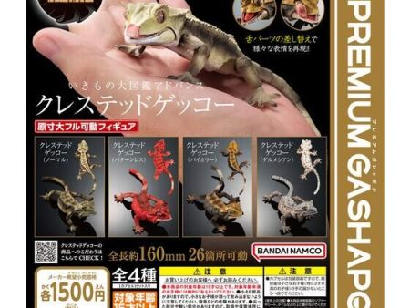 (Gashapon) Bandai  -  Ikimono Encyclopedia Advanced Crested Gecko Capsule Toy Figure Sale