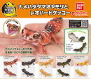 (Bandai Gashapon) The Diversity of Life on Earth Nephrurus Levis Hot on Sale