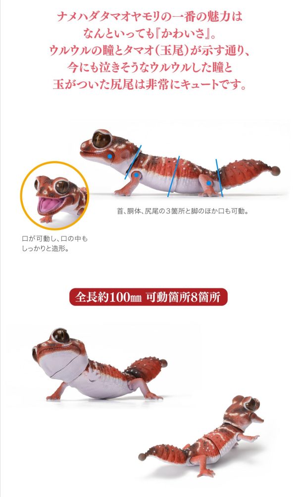 (Bandai Gashapon) The Diversity of Life on Earth Nephrurus Levis Hot on Sale