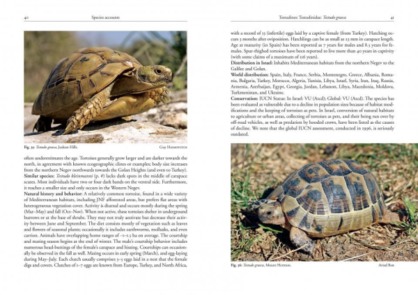 Field Guide to the Amphibians and Reptiles of Israel Supply