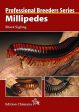 Millipedes (Professional Breeder Series) Cheap