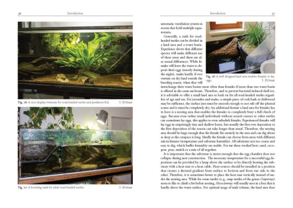 Toad-headed Turtles of the Genus Mesoclemmys Online