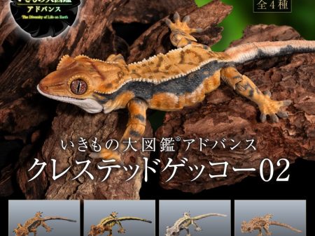 [Capsule Toy] The Diversity Of Life On Earth Crested gecko 02 - Random Signal Type For Sale