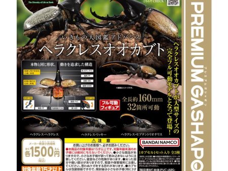 [Bandai Capsule] The Diversity Of Life On Earth Advance Dynastes Hercules - Random Signal Type For Discount