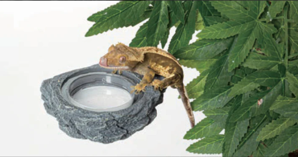 REPTIZOO ARBOREAL SINGLE \ DOUBLE FEEDER ROCK LEDGE MAGNETIC Online now