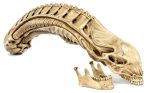 20  Inch Long AvP Alien Xenomorph Resin Skull 1 2 Scale Collectible Statue Predator Trophy Cheap