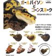 (Gashapon) Ball Python & Corn Snake Ver.1 (6 types in total) Online