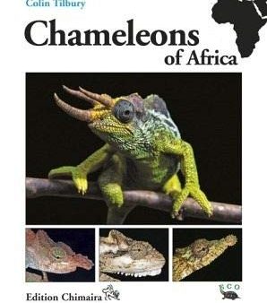 Chameleons of Africa For Discount