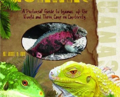 Iguanas - A Pictorial Guide Supply