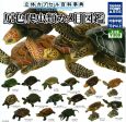 (Gashapon)Reptile Turtle Illustration (15 types in total) For Cheap