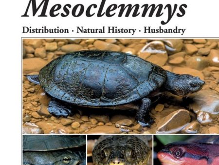 Toad-headed Turtles of the Genus Mesoclemmys Online