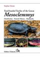 Toad-headed Turtles of the Genus Mesoclemmys Online