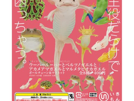 (Gashapon) Axolotl, Cranwell s horned frog, red-eyed treefrog and llanos frog (8 types in total) For Discount