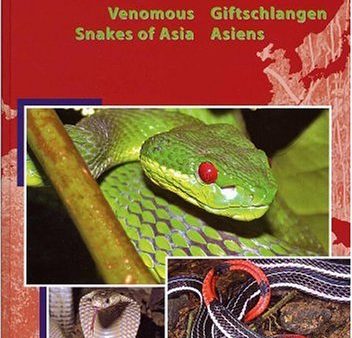 Terralog: Venomous Snakes of Asia, Vol. 14 on Sale