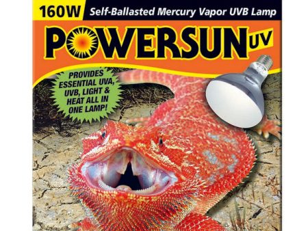 Zoo Med Powersun UV Mercury Vapor Bulb Hot on Sale