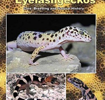 The Eyelash Geckos, Care, Breeding and Natural History Sale