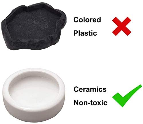 Reptile Worm Dish For Discount