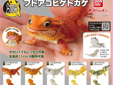 (Gashapon) Bearded Dragon Leopard Gecko - Random Signal Type (5 types in total) Discount