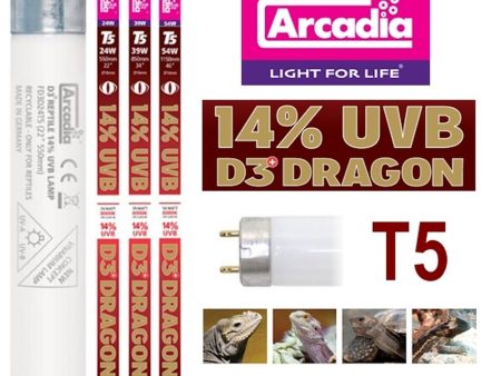 ARCADIA T5 HO Dragon Lamp 14% UVB For Cheap