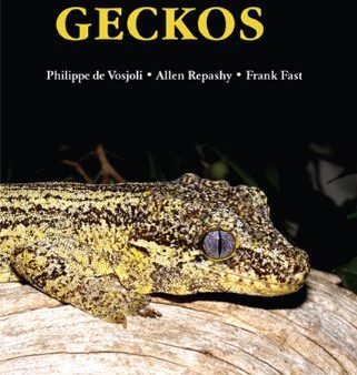 Gargoyle Geckos Online Sale