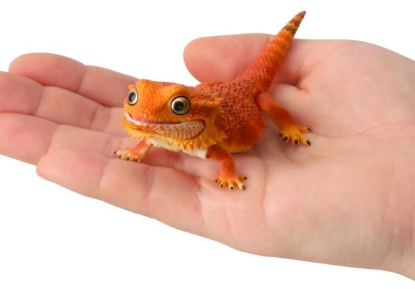 (Gashapon) Bearded Dragon Leopard Gecko - Random Signal Type (5 types in total) Discount