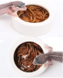 Reptile Worm Dish For Discount