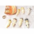 (Gashapon) Bandai Hacyu Hacyu Lizard Mascot (7 types) Supply